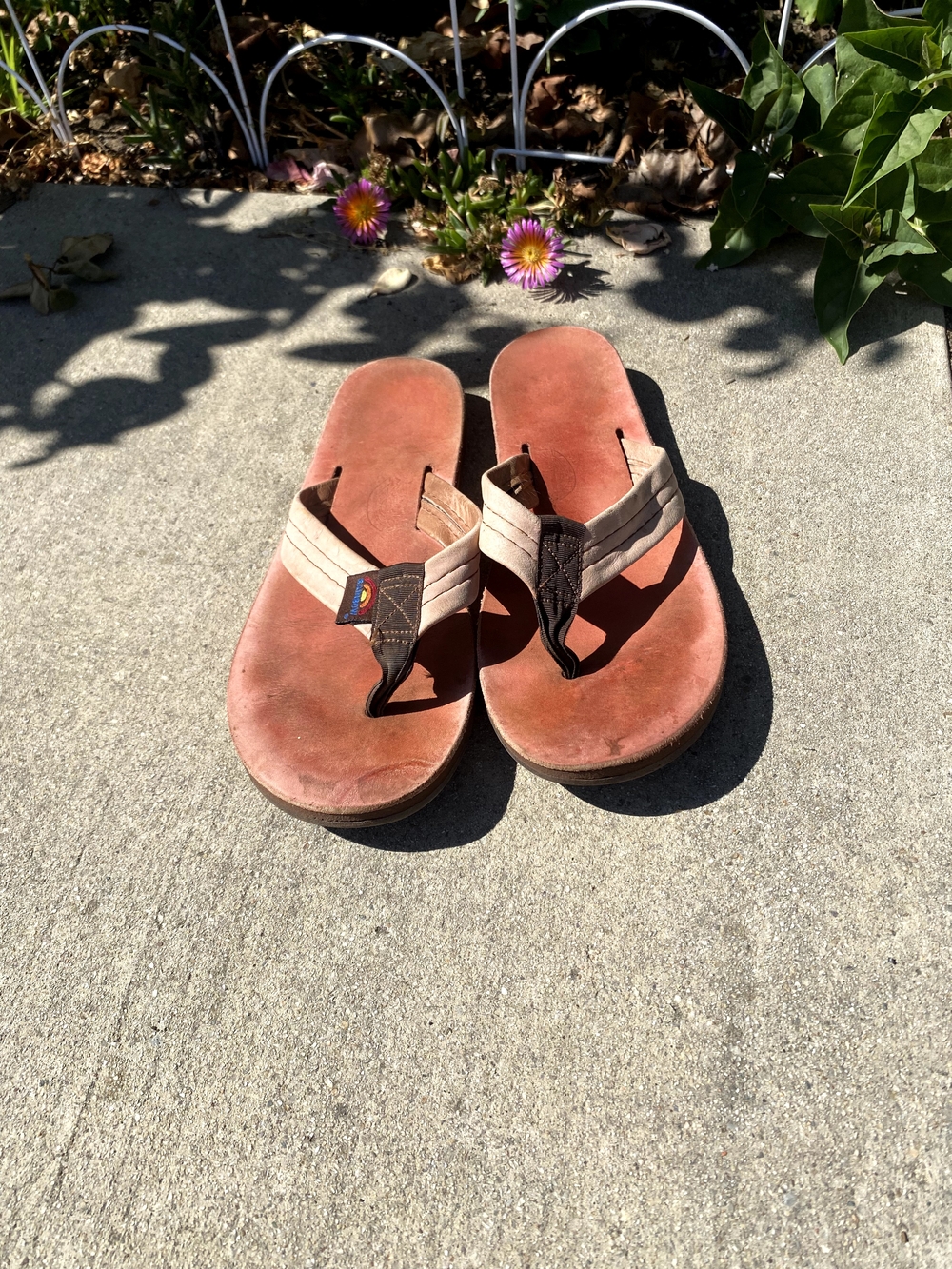 Rainbow Coral and Brown Women's Flip-Flop Sandals